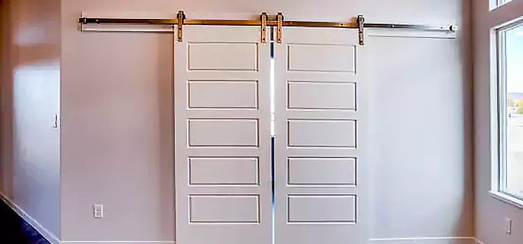 Glass Barn Door with Installation Hardware Kit St. Louis Park